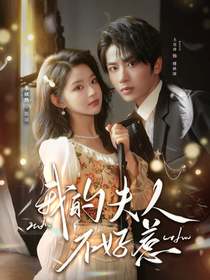 你好，我的旅长夫人（60集）番茄免费短剧