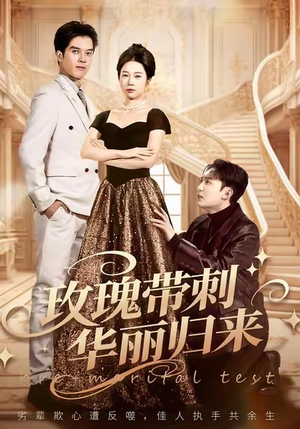 婚前测试他不配（83集）精彩短剧追不停