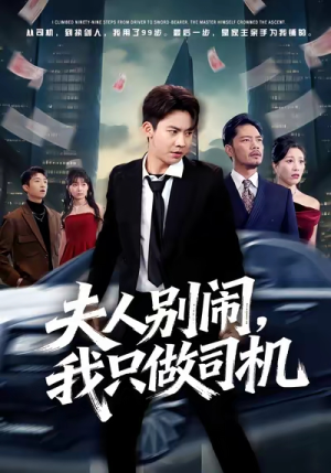 夫人别闹我只做司机（80集）热门短剧又来了