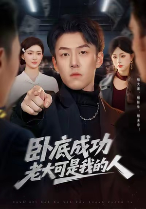 卧底成功老大可是我的人(99集) 卧底成功老大可是我的人(99集)免费短剧资源