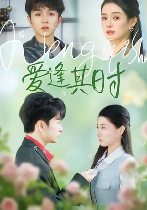 爱逢其时（47集）真的好看吗