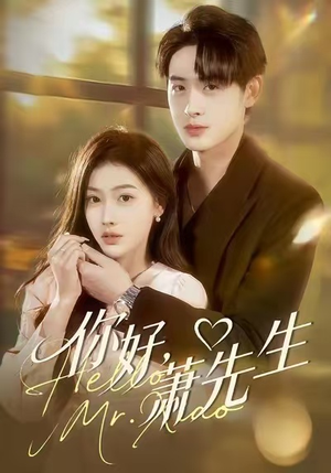 你好，萧先生（98集）高清无码免费看