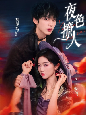 夜色撩人（76集）短剧后续更精彩