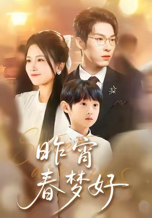 昨宵春梦好（90集）演员表