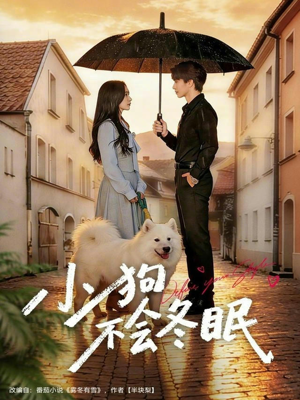 小狗不会冬眠（70集）最新热播短剧