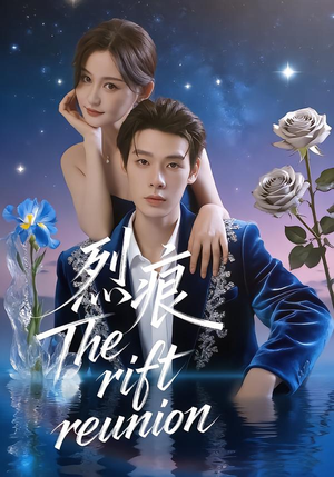 烈痕（35集）短剧追不停