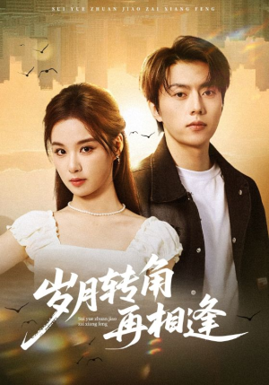 岁月转角再相逢(80集) 岁月转角再相逢(80集)好看的短剧电影