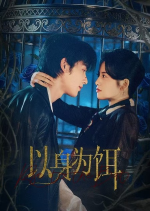 以身为饵（61集）好看的短剧推荐