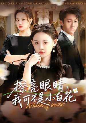 擦亮眼睛，我可不是小白花（60集）全集