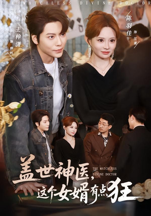 盖世神医，这个女婿有点狂（81集）更新时间