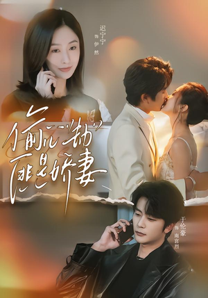 偷“心”劫匪是娇妻（61集）精彩短剧免费看