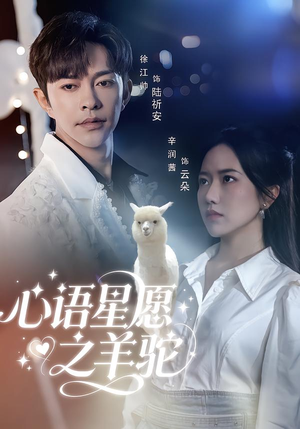 心语星愿之羊驼（60集）战神短剧推荐