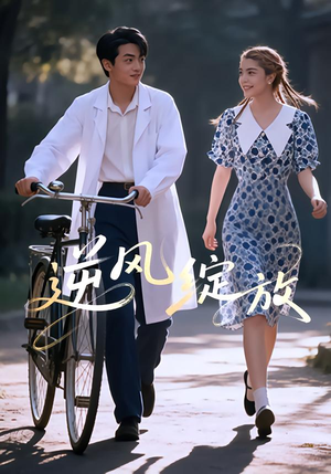 逆风绽放（55集）精彩短剧追不停