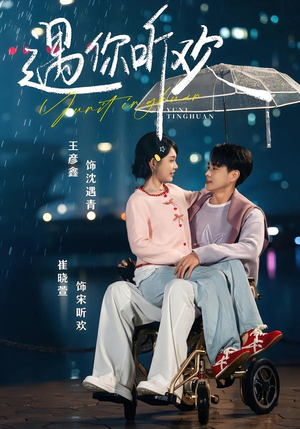 遇你听欢（80集）让你一口气看完