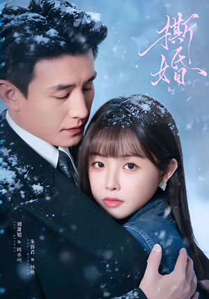 撕婚（23集）在线观看