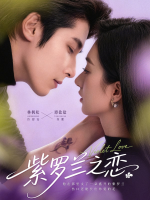 紫罗兰之恋(82集) 紫罗兰之恋(82集)热播短剧重燃