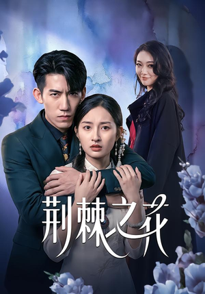 荆棘之花（100集）全集我都看完了