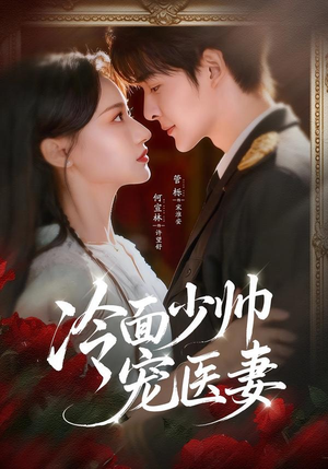 冷面少帅宠医妻（65集）评价怎么样