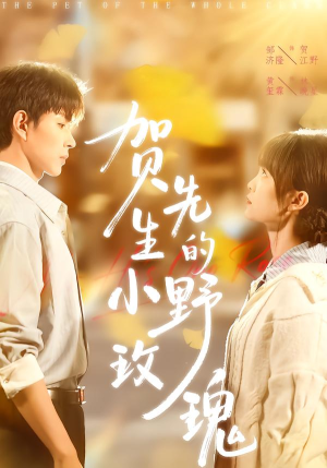 贺先生的小野玫瑰（99集）百度在线观看