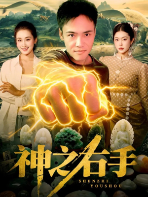 神之右手(100集) 神之右手(100集)完整版