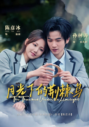 月光下的荆棘鸟（80集）短剧解说全集