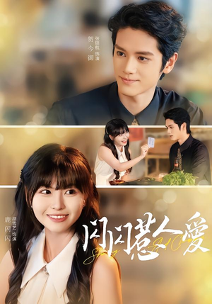 闪闪惹人爱（60集）短剧小说在线看