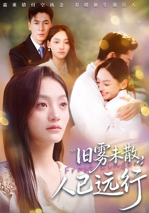 旧雾未散，人已远行（76集）短剧在线观看