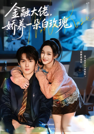 金融大佬，娇养一朵白玫瑰（70集）短剧在线观看