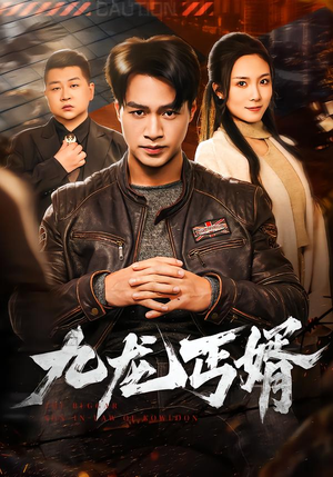 九龙丐婿(81集) 九龙丐婿(81集)短剧在线观看