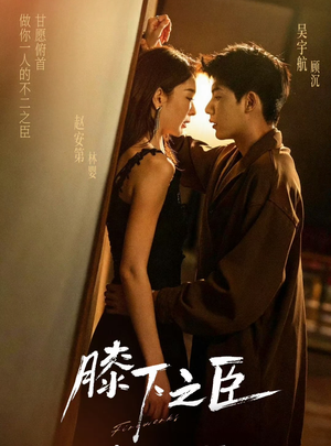 膝下之臣（56集）短剧太好看了