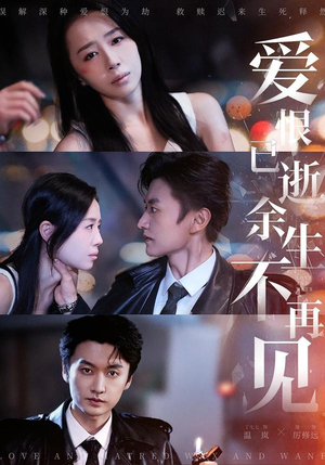 爱恨已逝，余生不再见（68集）免费版