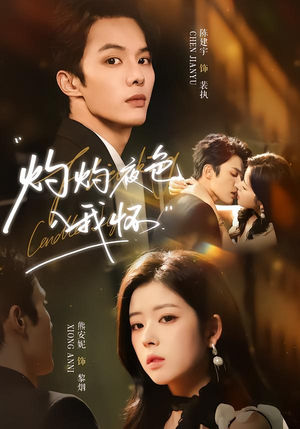 灼灼夜色入我怀（60集）免费看短剧