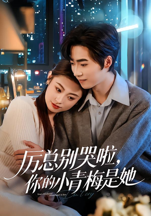 厉总别哭啦,你的小青梅是她(70集) 厉总别哭啦,你的小青梅是她(70集)熬夜追短剧