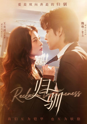 归驯（82集）越看越好看短剧