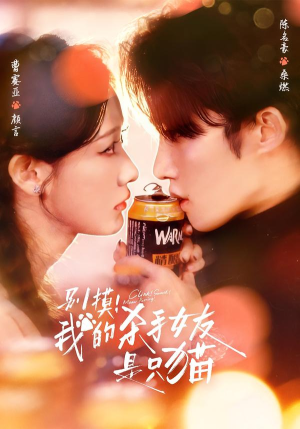 别摸！我的杀手女友是只猫（60集）评价怎么样