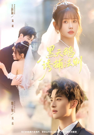 黑天鹅诱捕法册(80集) 黑天鹅诱捕法册(80集)在线免费观看