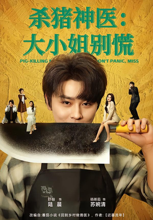 杀猪神医，大小姐别慌（80集）最新热剧免费看