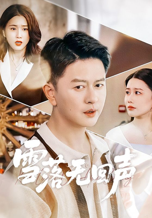 雪落无回声（60集）热门短剧大全