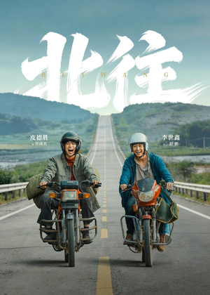 北往（61集）火爆短剧推荐