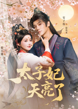 太子妃天亮了(80集) 太子妃天亮了(80集)高质量短剧推荐