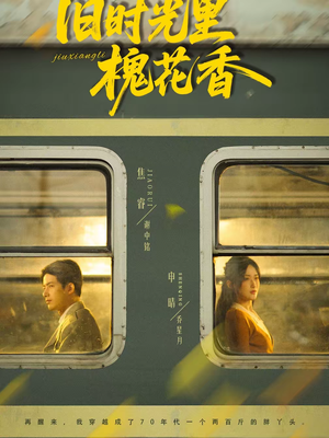 旧时光里槐花香（70集）深深爱上这部剧