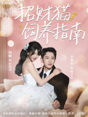 招财猫饲养指南(92集) 招财猫饲养指南(92集)每天分享短剧