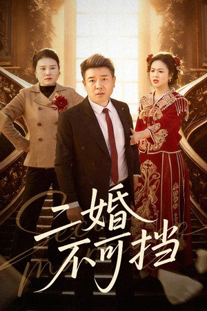 二婚不可挡（36集）穿越短剧推荐