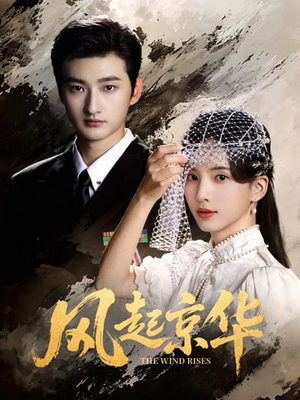 风Q京华（60集）短剧抢先看全集