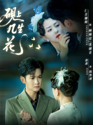 砚上几生花（62集）热播短剧追不停