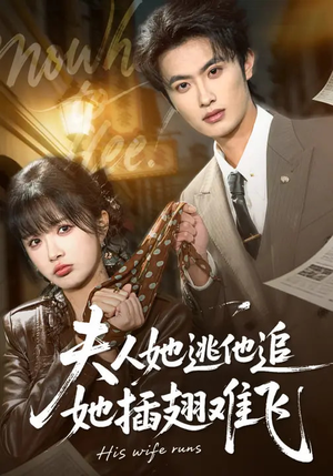 夫人她逃他追，她插翅难飞（101集）免费看全集