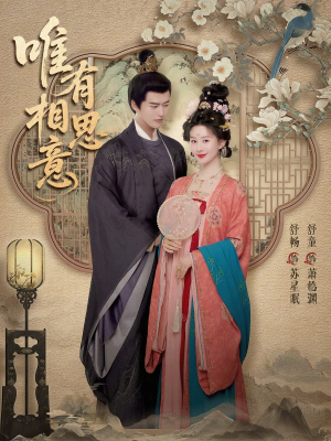 唯有相思意（100集）分享好看的短剧