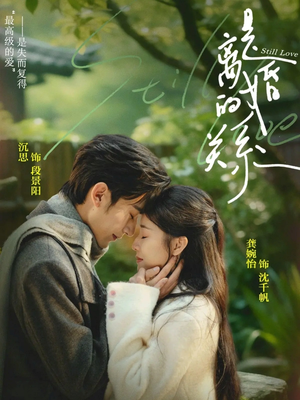 是离婚的关系（67集）短剧热播中