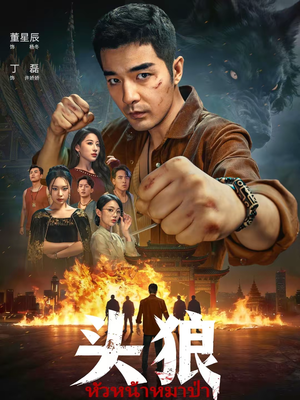 头狼（77集）口碑爆棚免费看