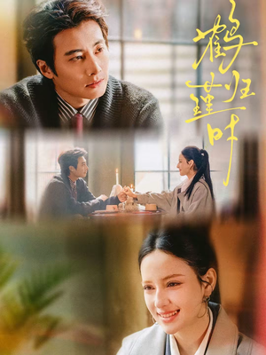 鹤归瑾时(81集) 鹤归瑾时(81集)在哪个app能看